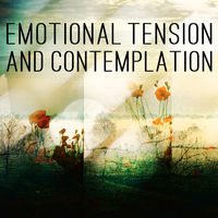 EMOTIONAL TENSION AND CONTEMPLATION