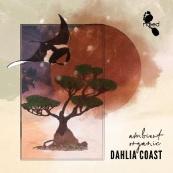 Dahlia Coast - Ambient Organic