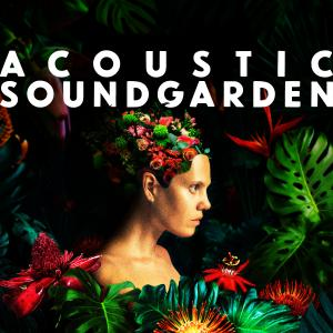 Acoustic Soundgarden