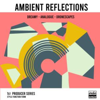 Ambient Reflections