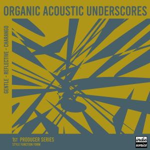 Organic Acoustic Underscores