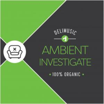 Ambient Investigate