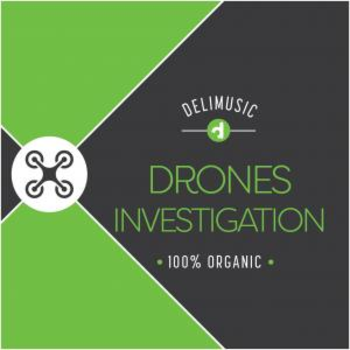 Drones Investigation