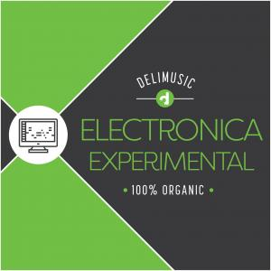 Electronica Experimental