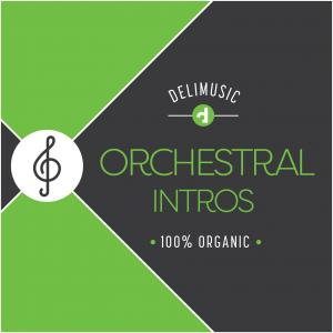 Orchestral Intros