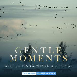 Gentle Moments (Gentle Piano, Winds and Strings)