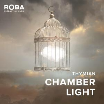Chamber Light