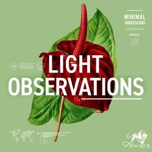 Light Observations