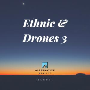 Ethnic and Drone Vol 3