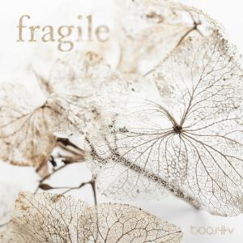 Fragile