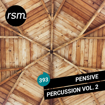 Pensive Percussion Vol. 2
