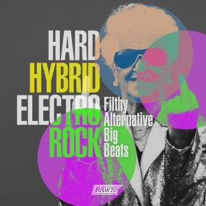Hard Hybrid Electro Rock