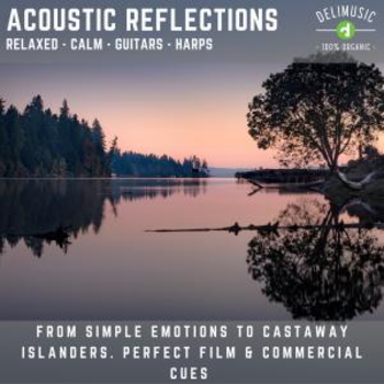 Acoustic Reflections