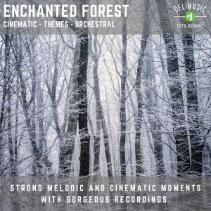 Enchanted Forest