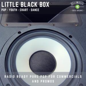 Little Black Box