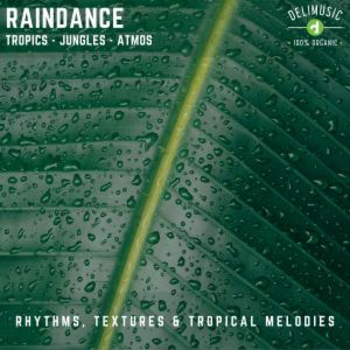 Raindance