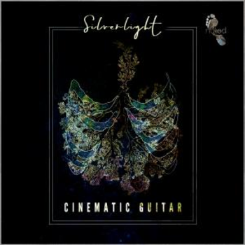 Silverlight - Cinematic Guitar