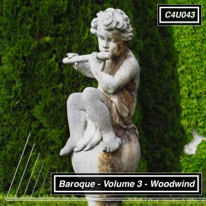 Baroque - Volume 2 - Woodwind