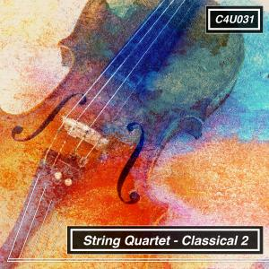 String Quartet Classical 2
