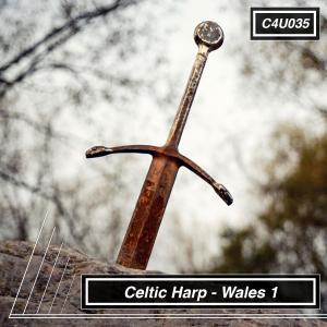 Celtic Harp Wales 1