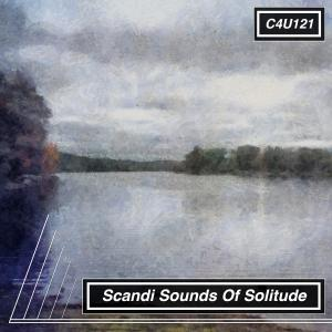 Scandi Sounds Of Solitude