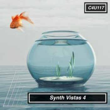 Synth Vistas 4