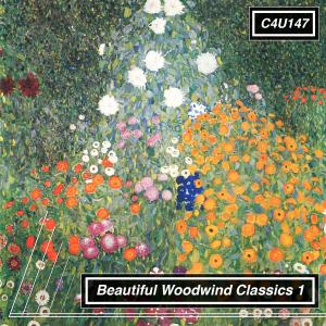 Beautiful Woodwind Classics 1