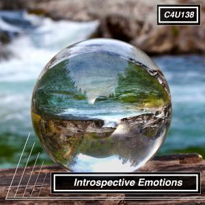 Introspective Emotions