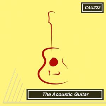 The Acoustic Guitar