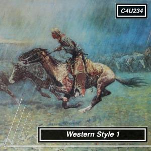 Western Style 1