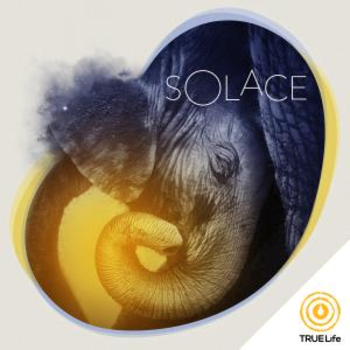 Solace