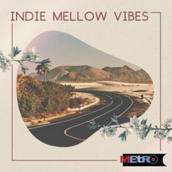Indie Mellow Vibes