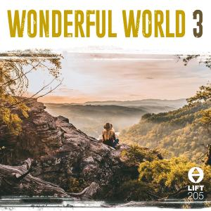 Wonderful World 3