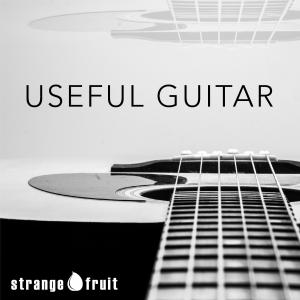 Useful Guitar