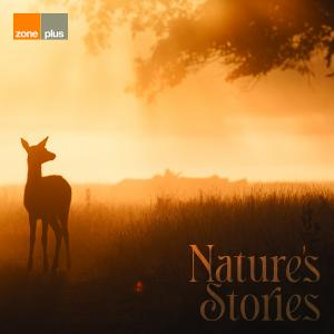 Nature's Stories