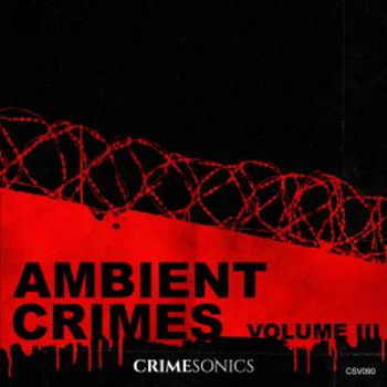 Ambient Crimes III