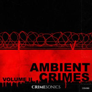 Ambient Crimes II