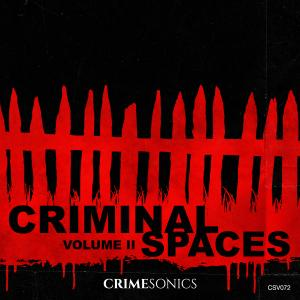 Criminal Spaces II
