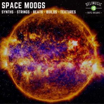 Space Moogs