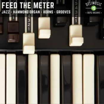 Feed The Meter