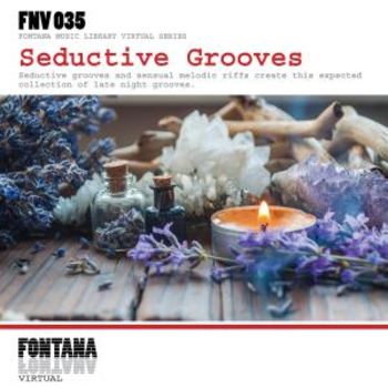 Seductive Grooves
