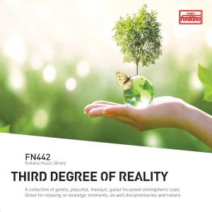 Third Degree of Reality