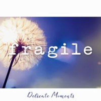 AFRO 265 - FRAGILE - DELICATE MOMENTS