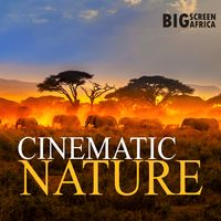 BIG SCREEN AFRICA - CINEMATIC NATURE
