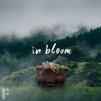 In Bloom