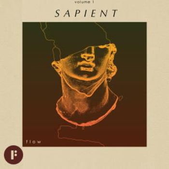 Flow: Volume 1 - Sapient
