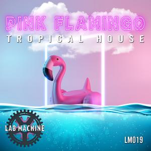 Pink Flamingo - Tropical House