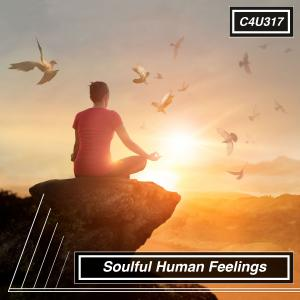 Soulful Human Feelings
