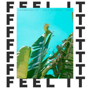 Feel It - Single