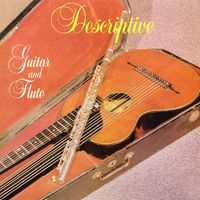 DESCRIPTIVE GUITAR AND FLUTE Vol.1